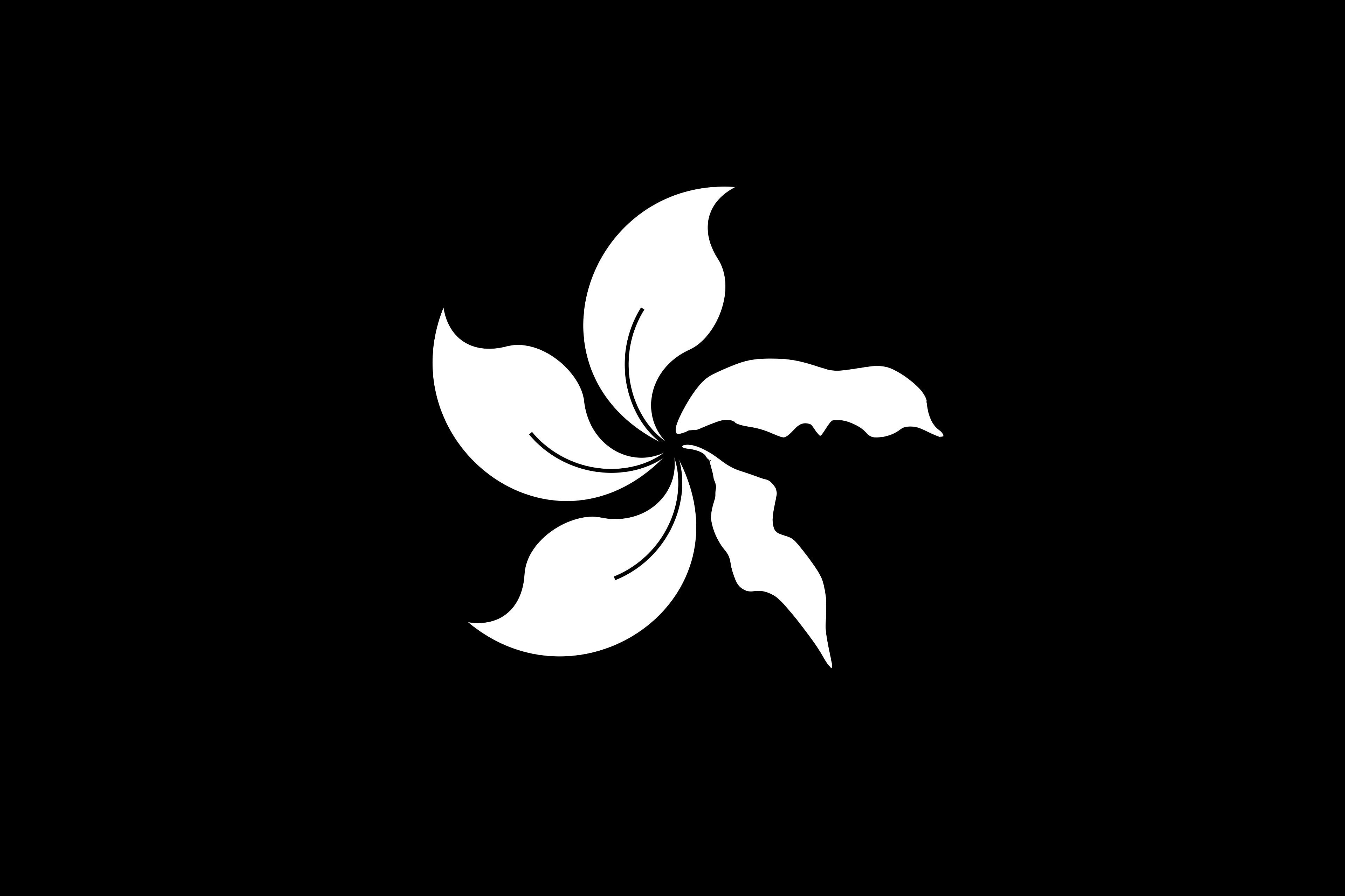Black Bauhinia Variant 3 - Wilted Petals - Pax Historia